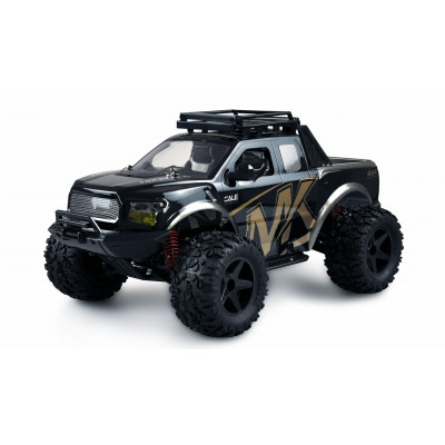 WARRIOR Desert Truck 4WD, 1:10, kovové tuningové díly, až 45 km/h, IPx4, RTR, zlatá