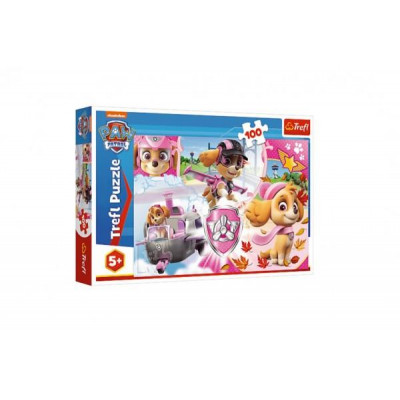 Puzzle Paw Patrol / Tlapková patrola Skye v akcii 41x27,5cm 100 dielikov v krabici 29x19x4cm