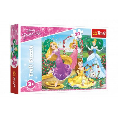 Puzzle Princezné Disney 27x20cm 30 dielikov v krabičke 21x14x4cm