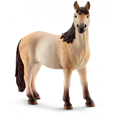 Zvieratko - kobyla Mustang