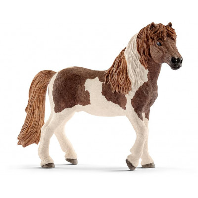 Zvieratko - islandský Pony žrebec