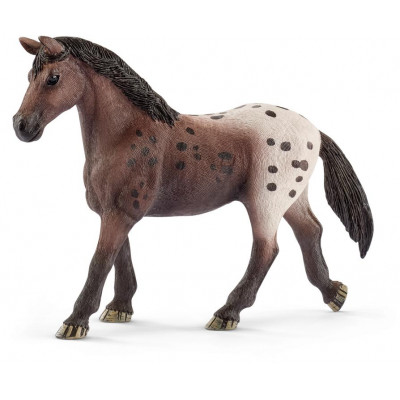 Zvieratko - appaloosa kobyla