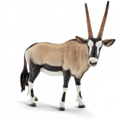 Zvieratko - antilopa Oryx