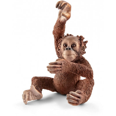 Zvieratko orangutan mláďa