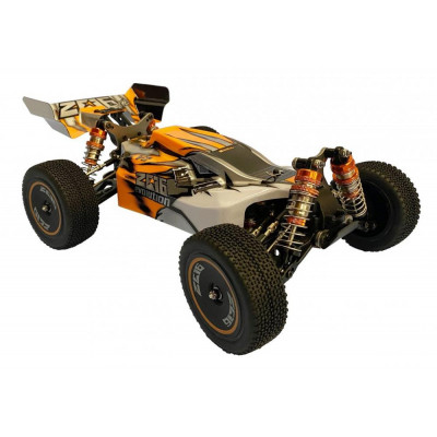 DF Z06 EVOLUTION V2 Buggy RTR, 1:14