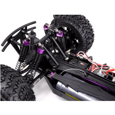 AMEWI CRAZIST MONSTER TRUCK BRUSHED 1:10 4WD RTR