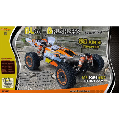 DF models RC buggy BL06- Brusshless 1:14 RTR