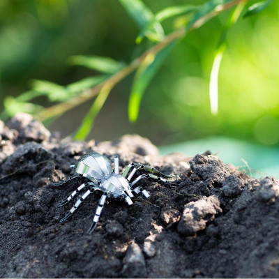 Metal Earth Luxusní ocelová stavebnice Tarantule